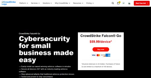 CrowdStrike Falcon Go